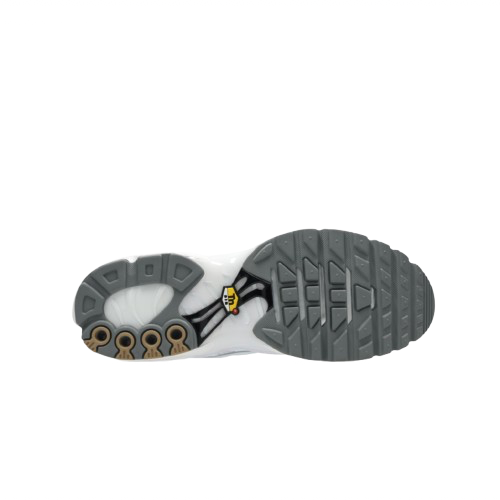 Air Max Plus Blanche